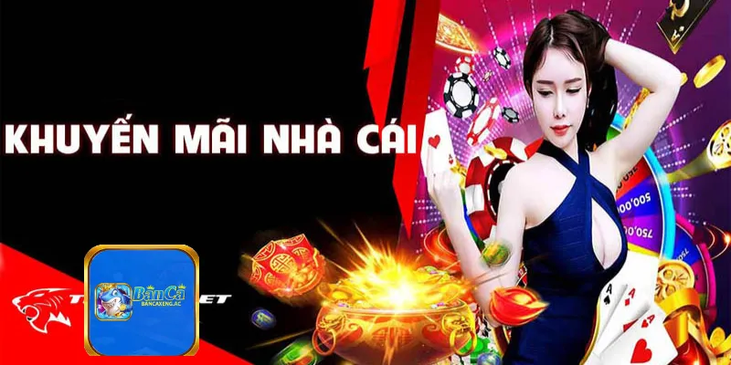 Nhà cái khuyến mãi tặng 50k cho thành viên mới và có giấy phép hoạt động hợp pháp, đảm bảo uy tín